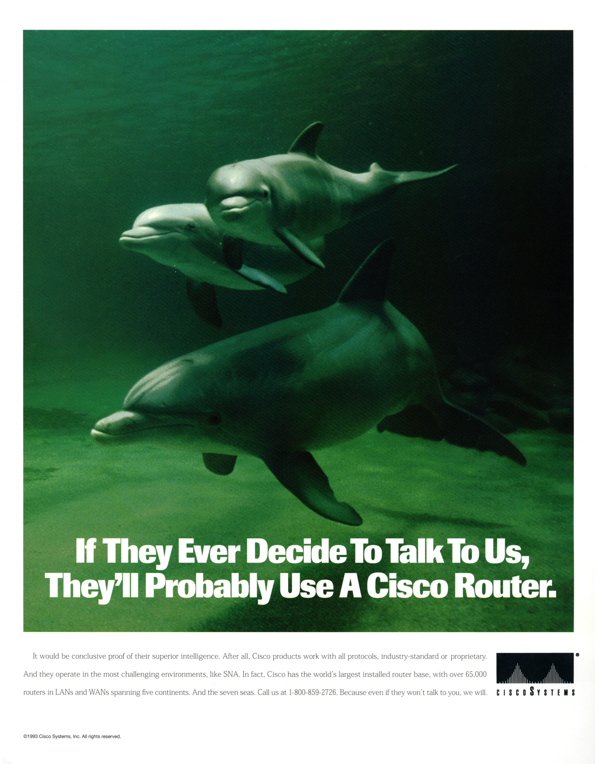 Three dolphins underwater with the text "If They Ever Decide To Talk To Us, They'll Probably Use a Cisco Router"